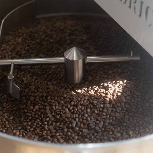 INVISIBLE FORCE BRAZIL YUKI MINAMI