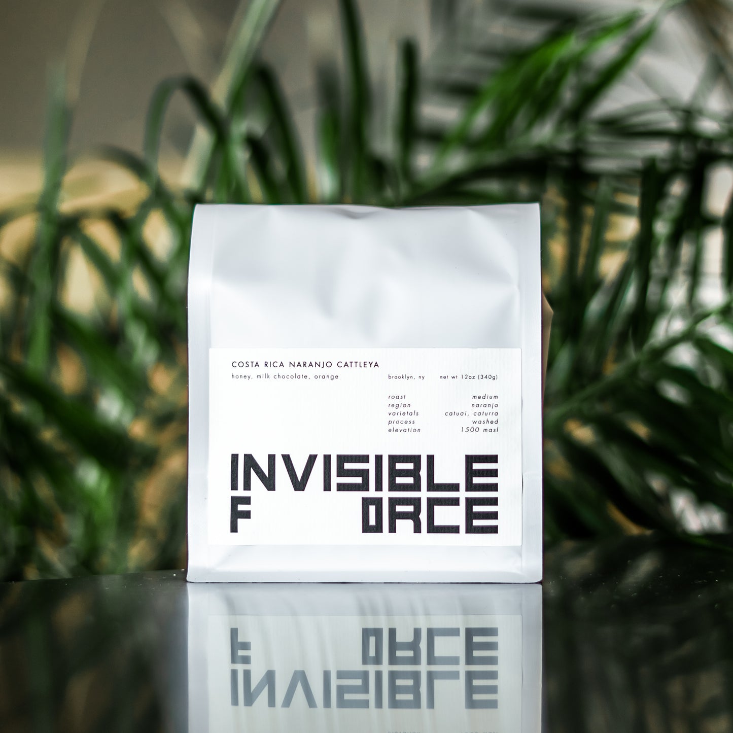 INVISIBLE FORCE COSTA RICA NARANJO CATTLEYA