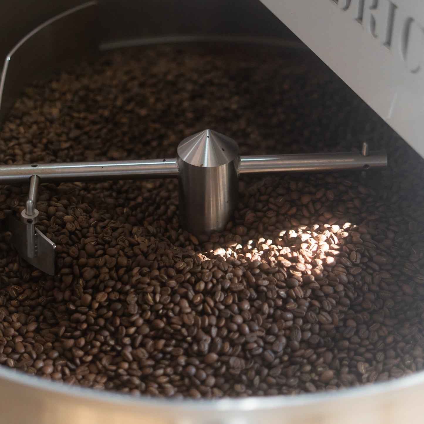 INVISIBLE FORCE BRAZIL YUKI MINAMI